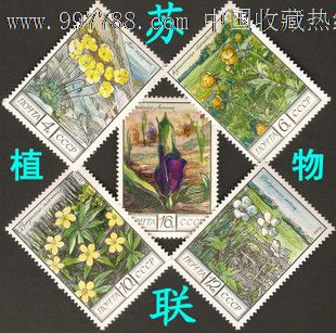 【前苏联邮票】苏联植物(花卉)(新5全)1975年