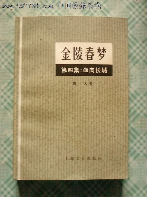 金陵春梦(第四集)