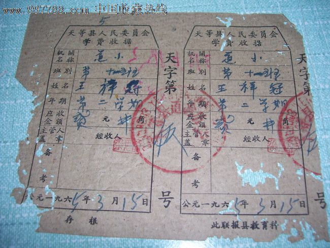 天等县人民委员会学费收据
