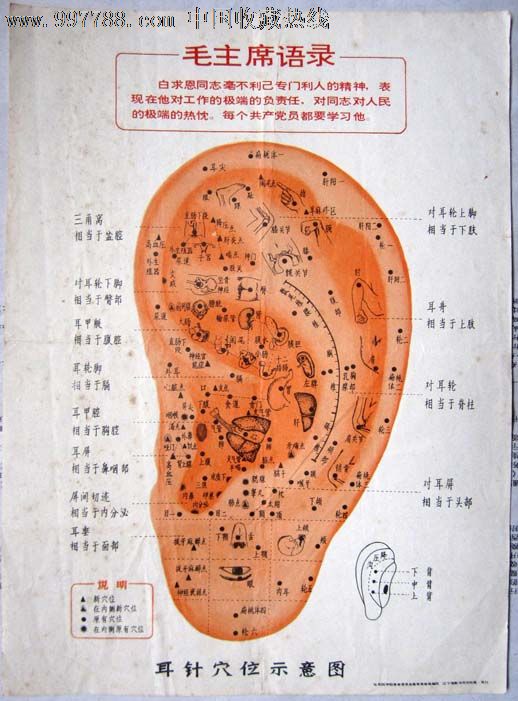文革语录耳针空位示意图