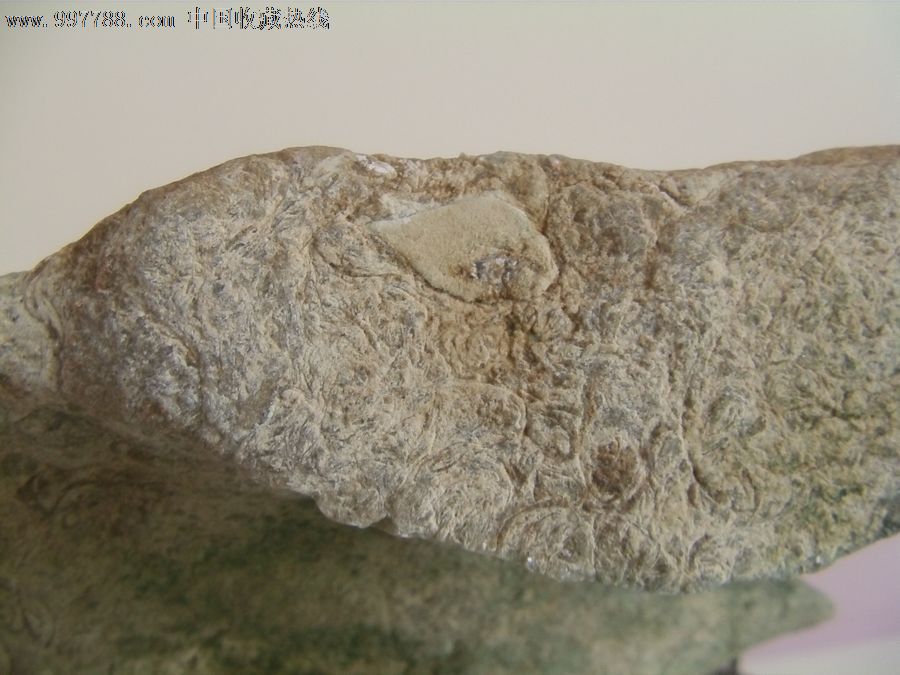 海狮/天然奇石/化石