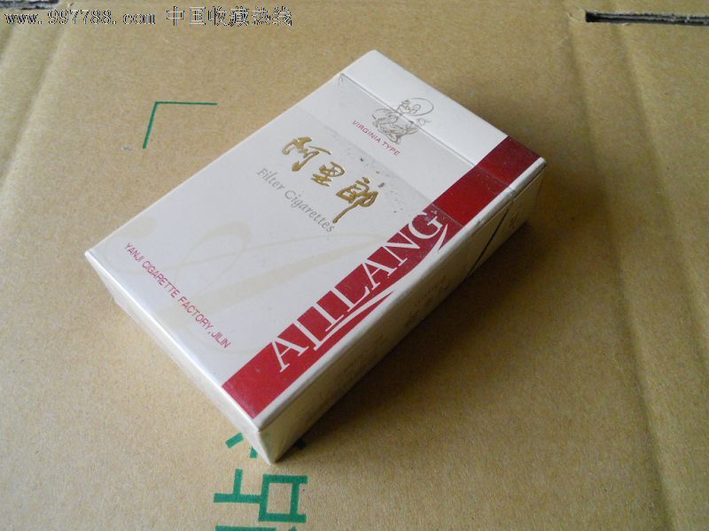 阿里郎.象帽舞西瓜和蚂蚁绘本教案图片