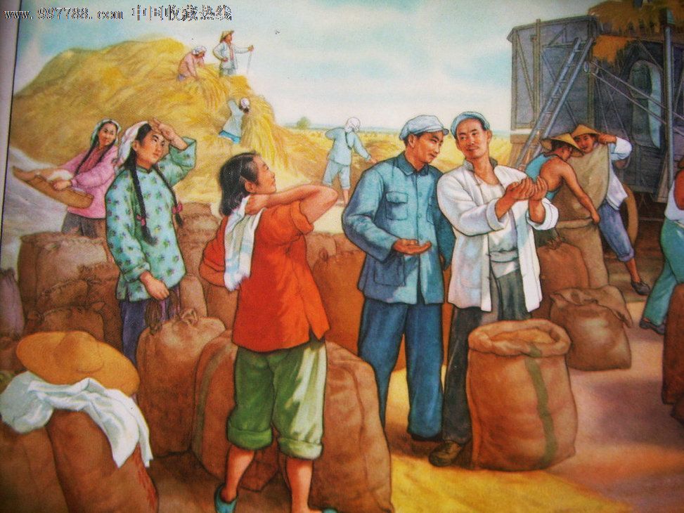 农业生产合作社小麦丰收(建国初期农业合作社