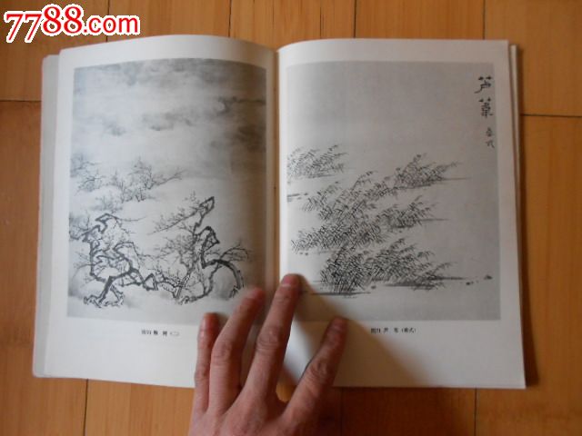 山水画基础技法-se16424346-国画画册-零售-7788收藏__中国收藏热线