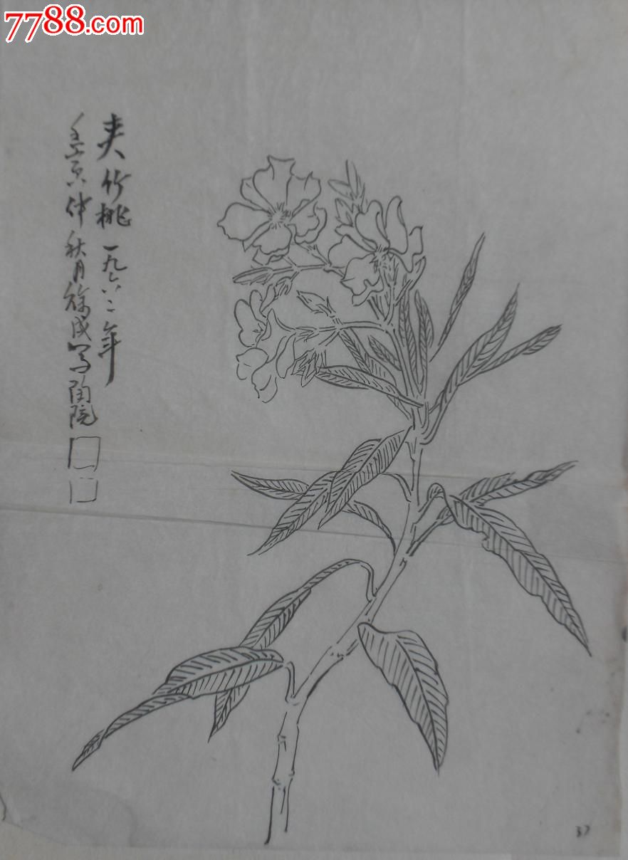 陶瓷学院老教授-徐成-50年代白描花卉画稿36张一套