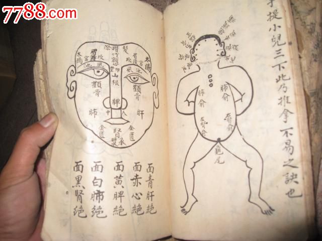 手抄本:脉诊歌