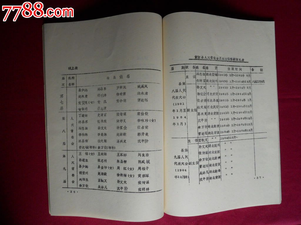 黄陂县志99政权机关篇