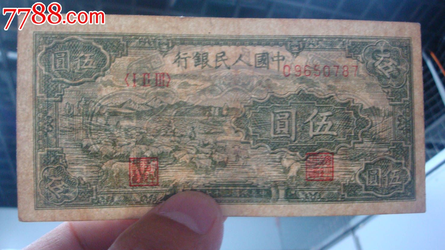 第一套人民币五元绵羊