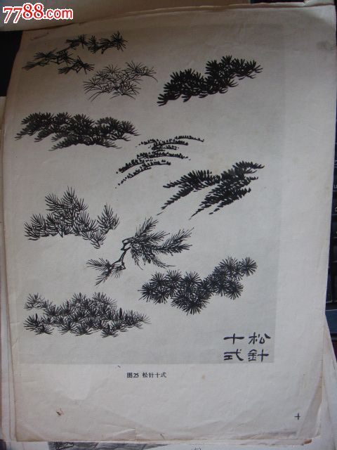 松1,松针十式-国画范例(收藏用)1页