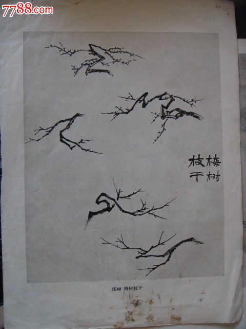 梅树,梅树枝干-国画范例(收藏用)1页