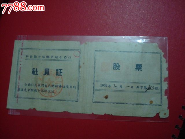 51年代广东新会县井根供销合作社社员证股票