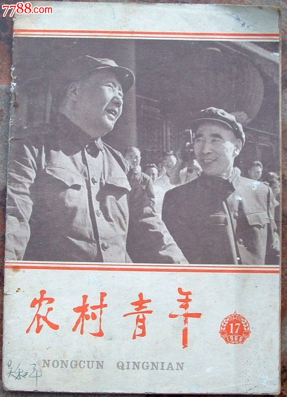 农村青年1966.17