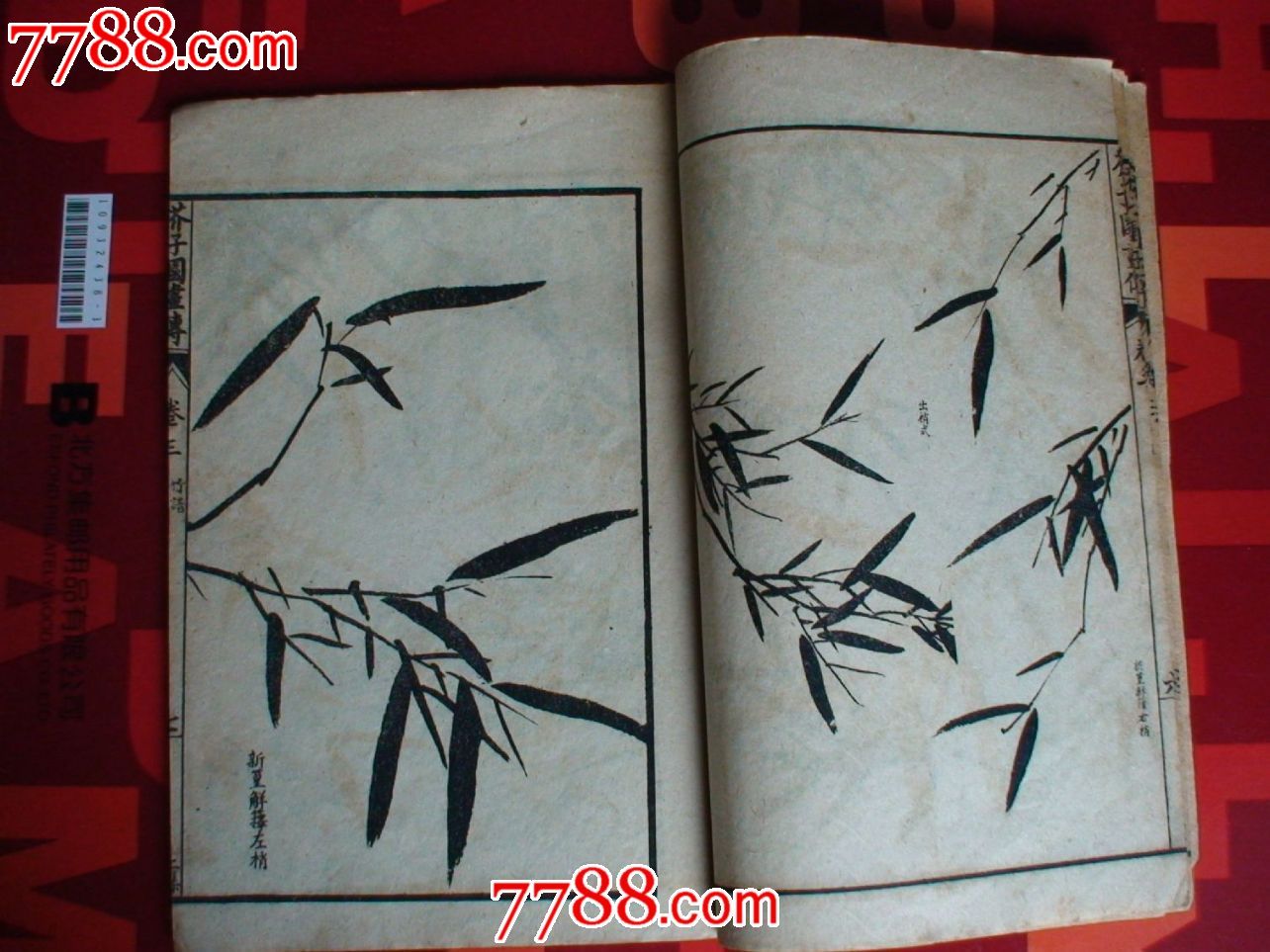古籍芥子园画谱(竹)本