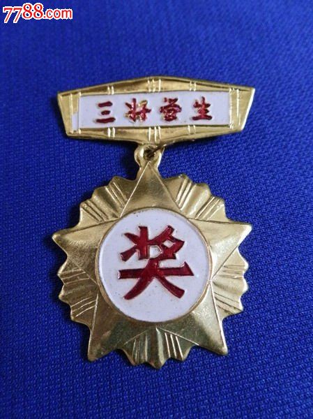 广州市第二十五中学-三好学生奖章