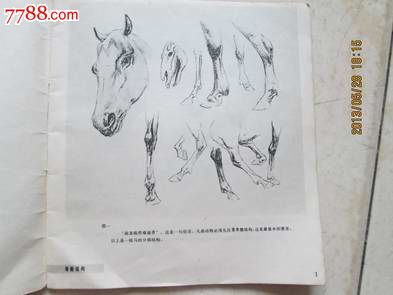怎样画马【颜梅华】著