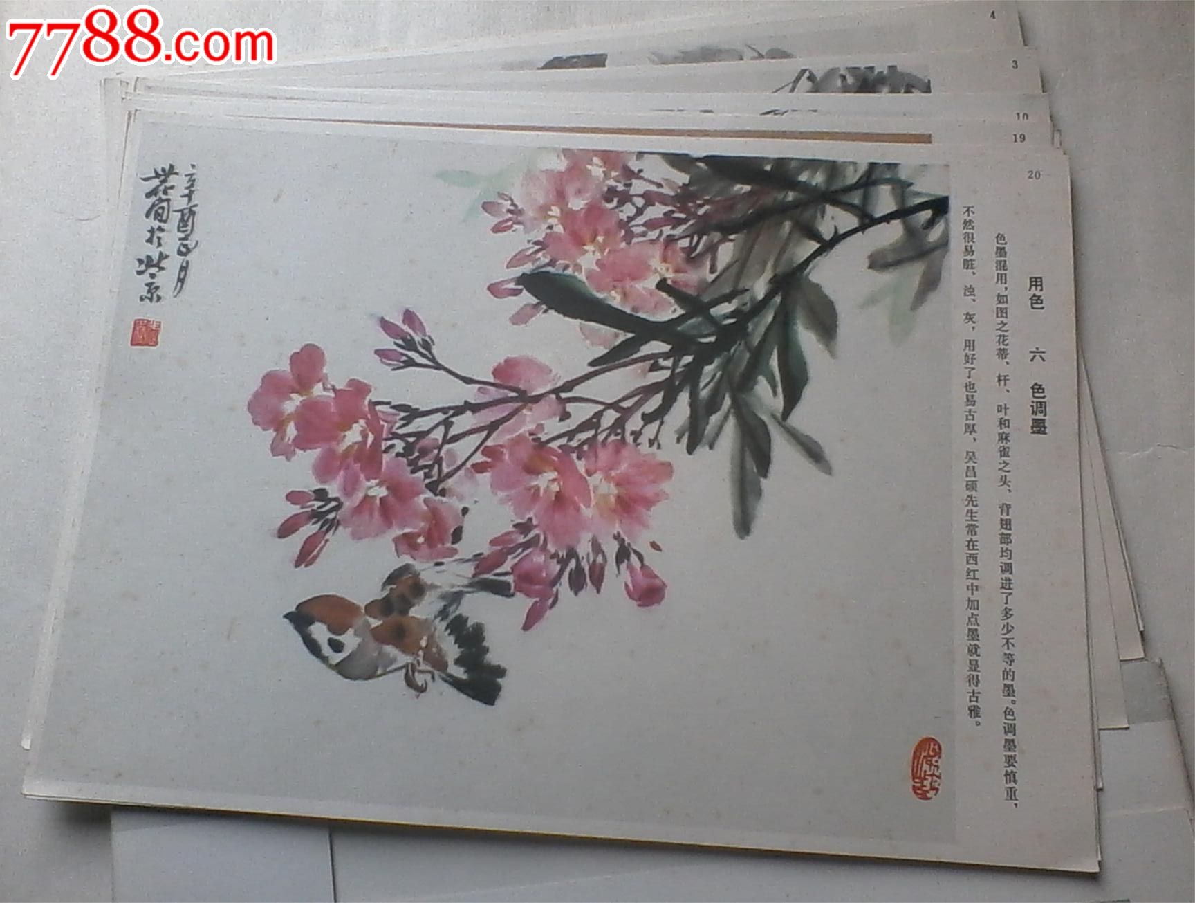 张世简编绘《写意花鸟画技法》