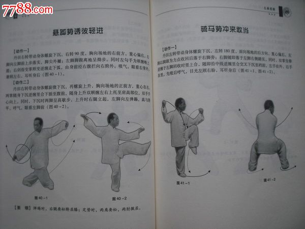 陈氏太极长拳108式.王振华著