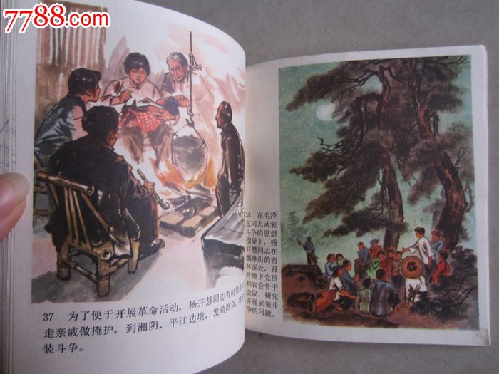 杨开慧(画册)