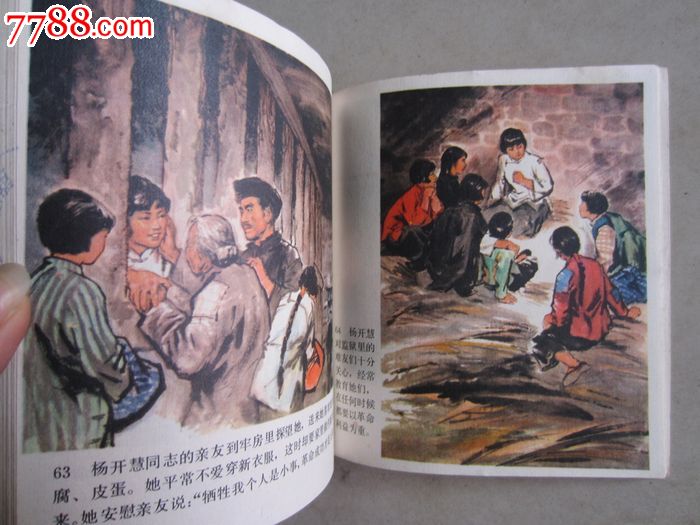 杨开慧(画册)