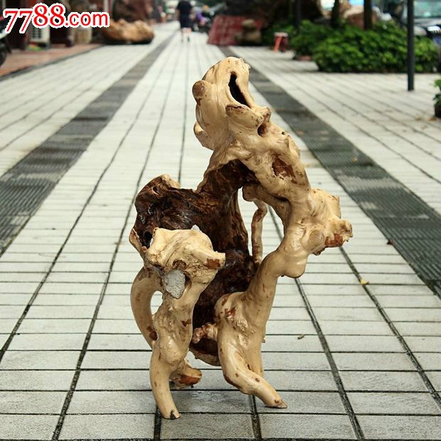 宜居品阁天然秤杆木根抱石木雕根雕根艺摆件小象起舞ywd499