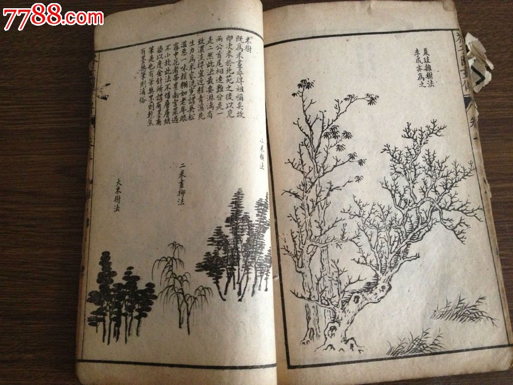 光绪29年上海通文局石印千顷发兑【芥子园画传初集树谱,三集草虫花卉