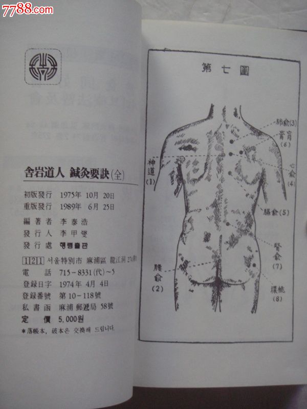 国文译注舍岩道人针灸要诀(全)