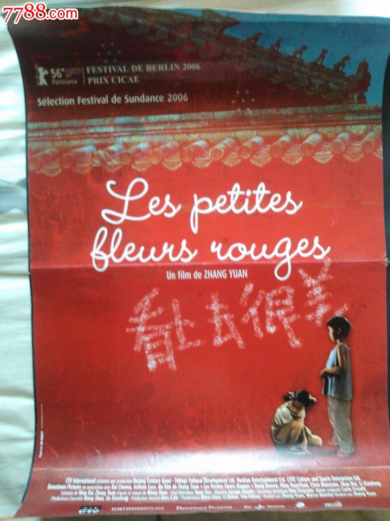 《看上去很美》张元法国原版电影海报