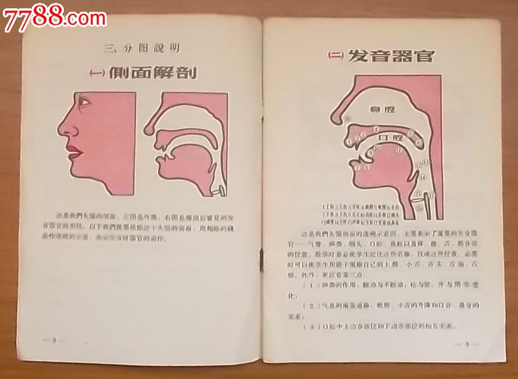 汉语拼音字母发音示意图解