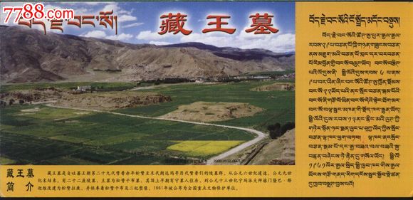 2618西藏藏王墓邮资门票2008(2600)-0003品好