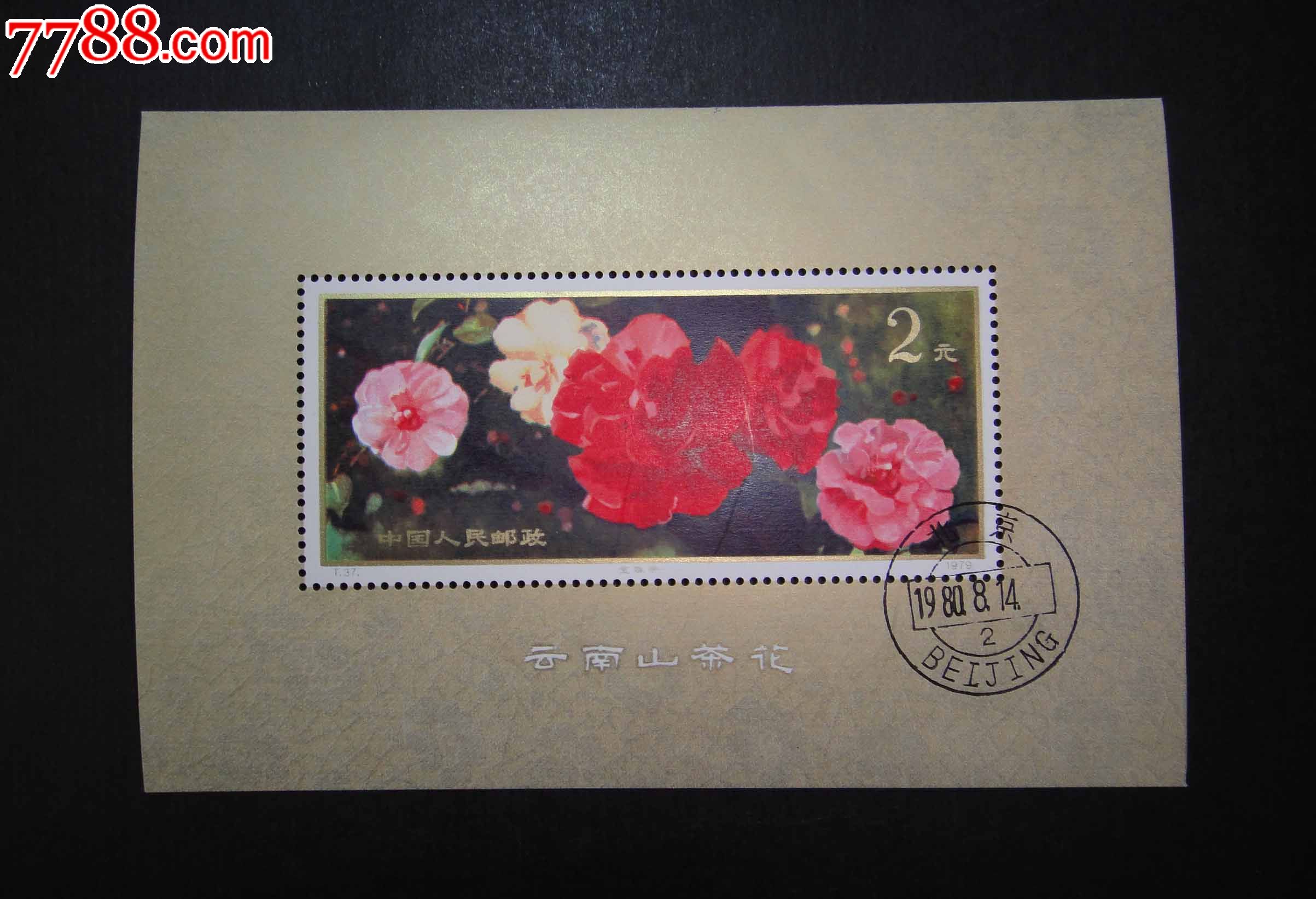t37山茶花mk_第1张_7788收藏__中国收藏热线