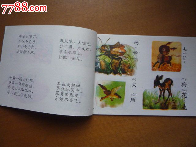 幼儿最新配图识字丛书-幼儿看图猜谜