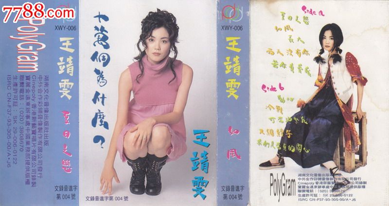 王菲王靖雯十万个为什么夏日之恋如风磁带
