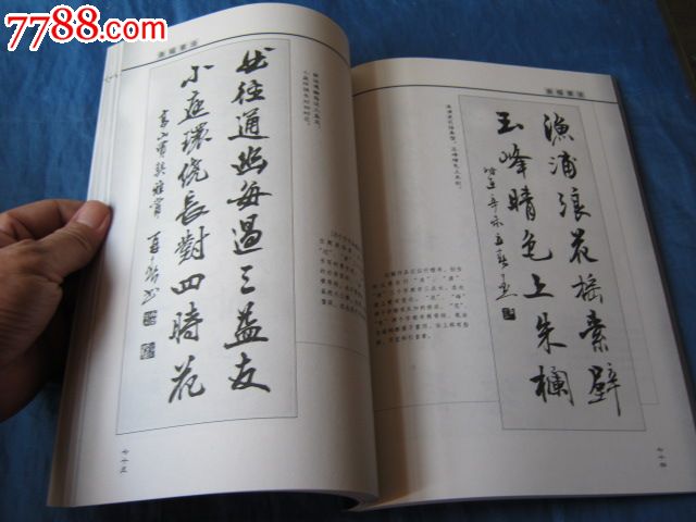 书法家杨再春著(一本能为人生添彩的字帖)_第2张_7788收藏__中国收藏