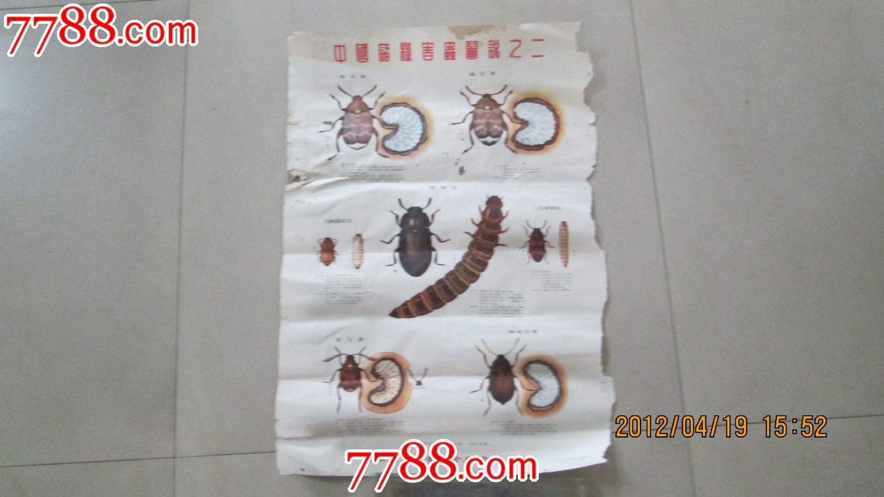 中国储粮害虫图说(一.二.三.四.