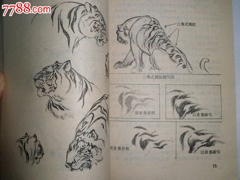 牛德光半工半写老虎画法