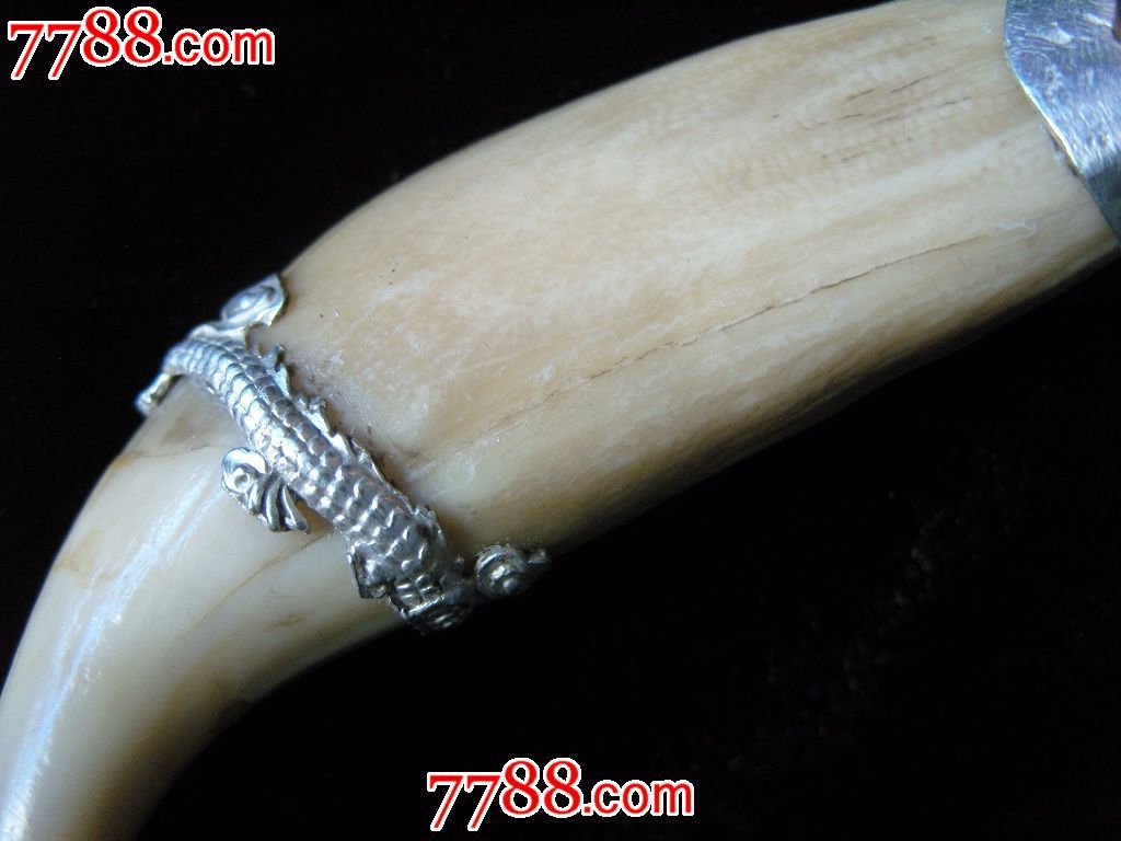 包银老熊牙_牙制饰品_红色麻雀【7788收藏__中国收藏热线】