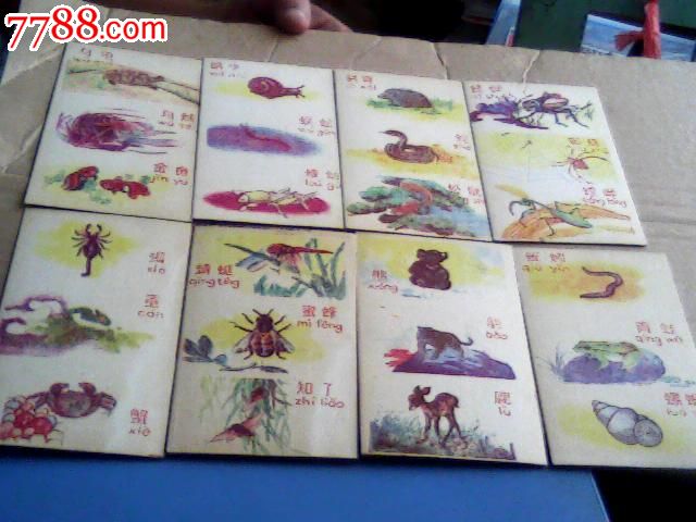 儿童玩具卡片---识字认图猜谜【动物】20张-价