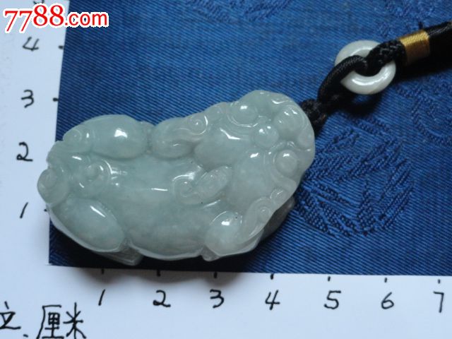 玉蟾蜍