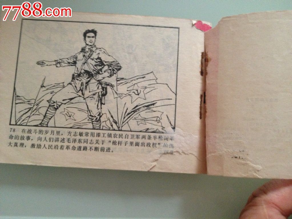 两条半枪闹革命