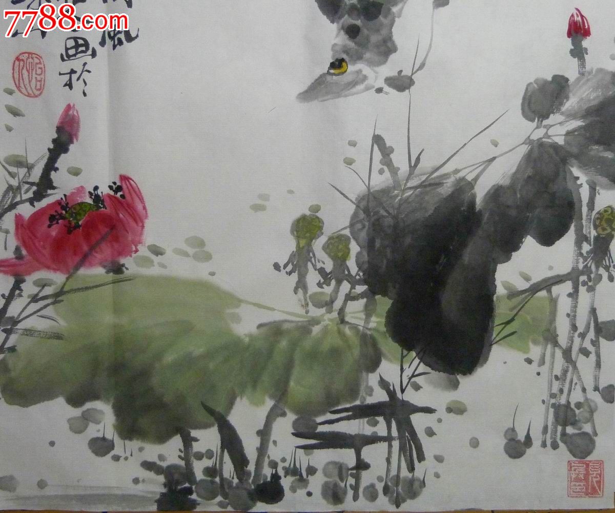 中国画写意花鸟画《荷风》