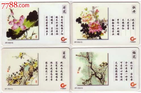 广东亚斯康卡-四大名花4全