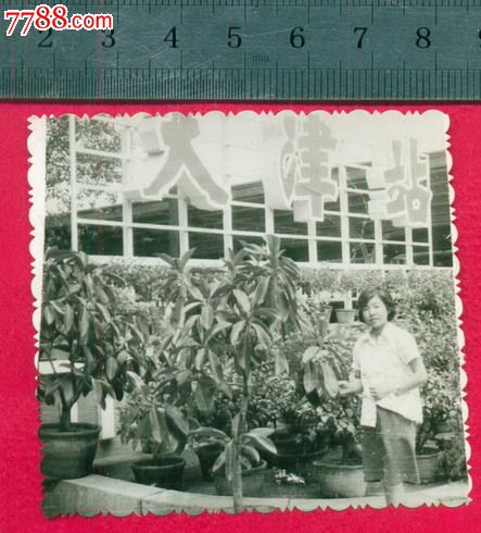 老照片-老照片-->小型合影照片 统一编号: se19910881  店内编号:987