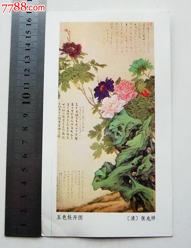 1984年:文物出版社—五色牡丹图