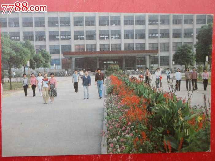 华东冶金学院--金色的秋天_价格2.