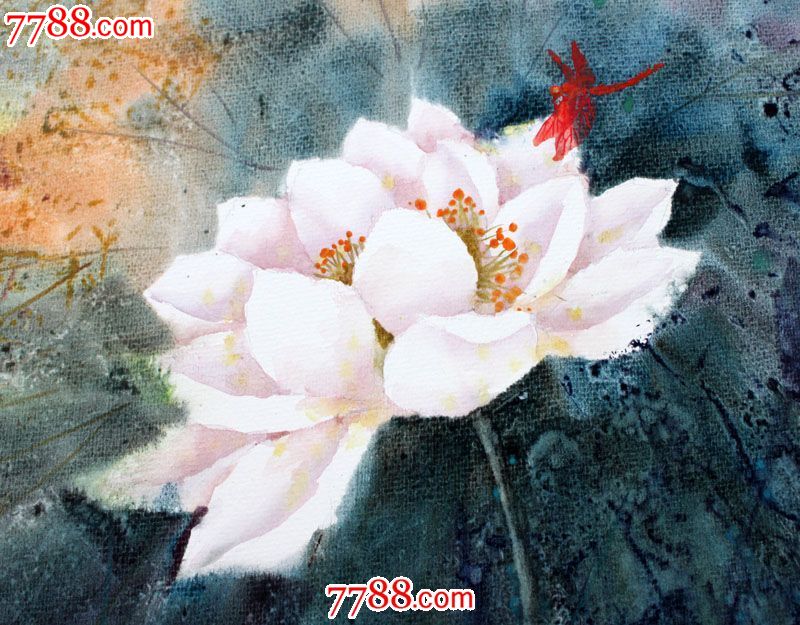 【国画字画】名家武朝利水彩画风景画荷花蜻蜓装饰送礼wzl018