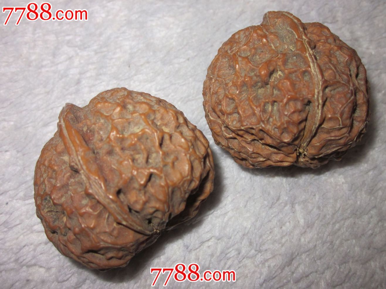 文玩核桃_第3张_7788收藏__中国收藏热线