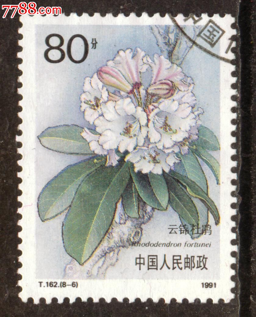 t162杜鹃花8-6信销邮票上品-se20857119-新中国邮票