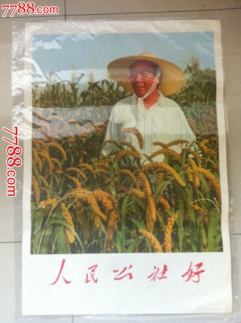人民公社好