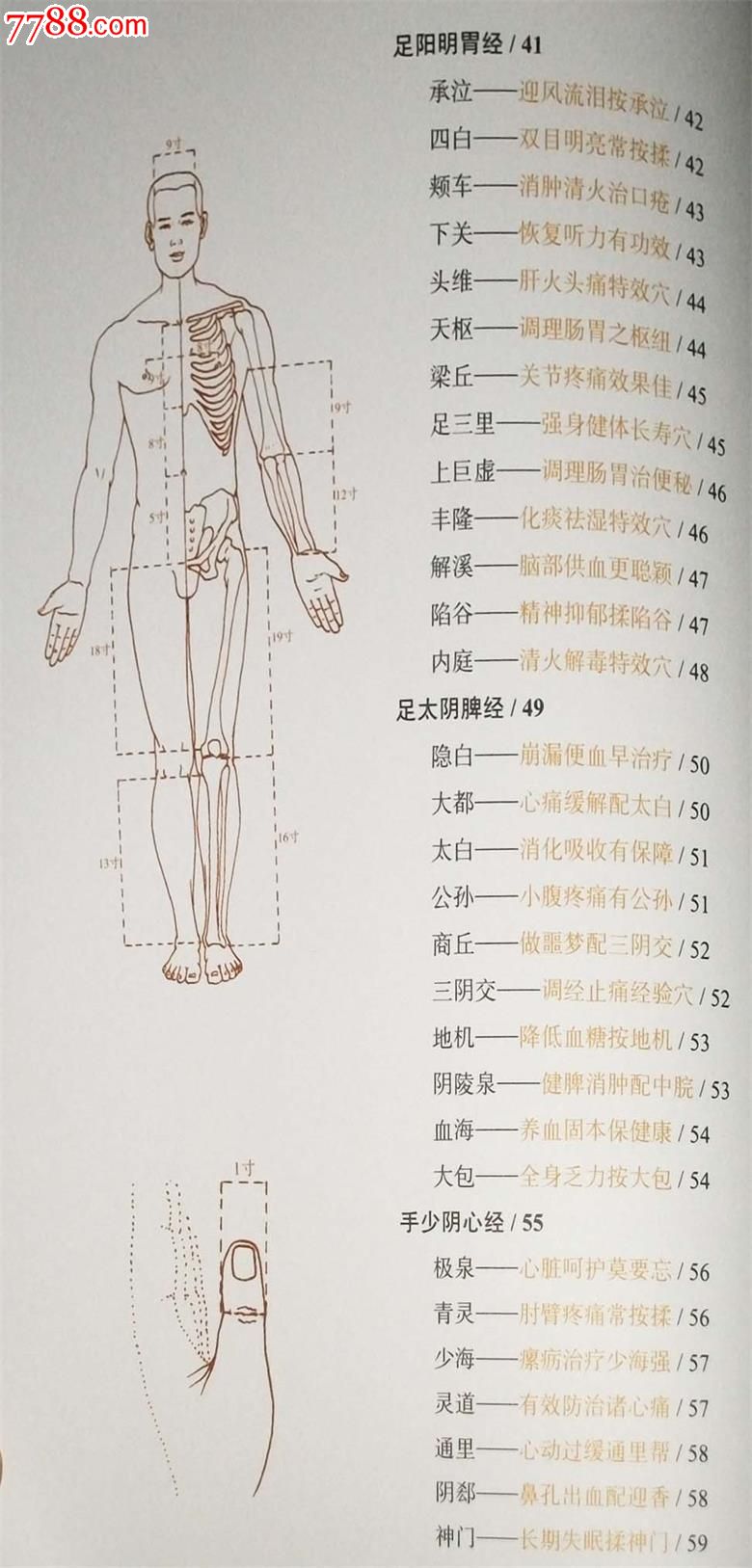 全新正版常见病特效穴位按摩图解曲宏编著中国中医药出版社58元