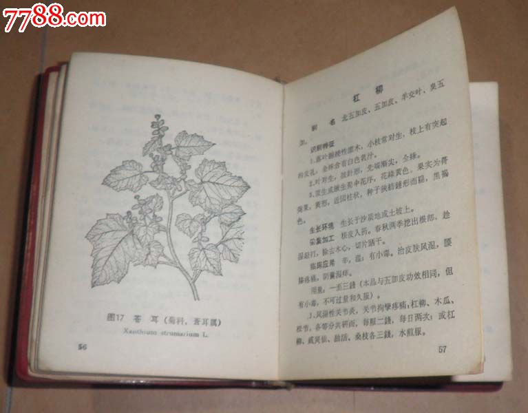 天津中草药_医书/药书_第3张_7788图书